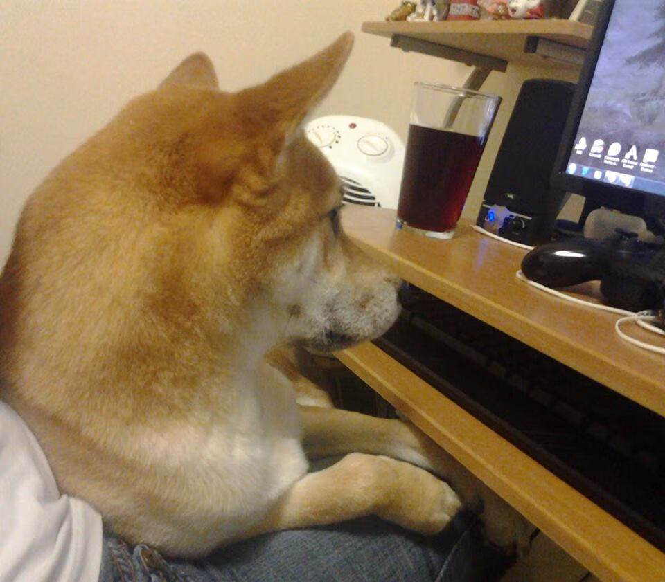 开云体育入口-世俱杯半决赛：利物浦与AC米兰激烈争夺晋级名额，世俱杯 利物浦