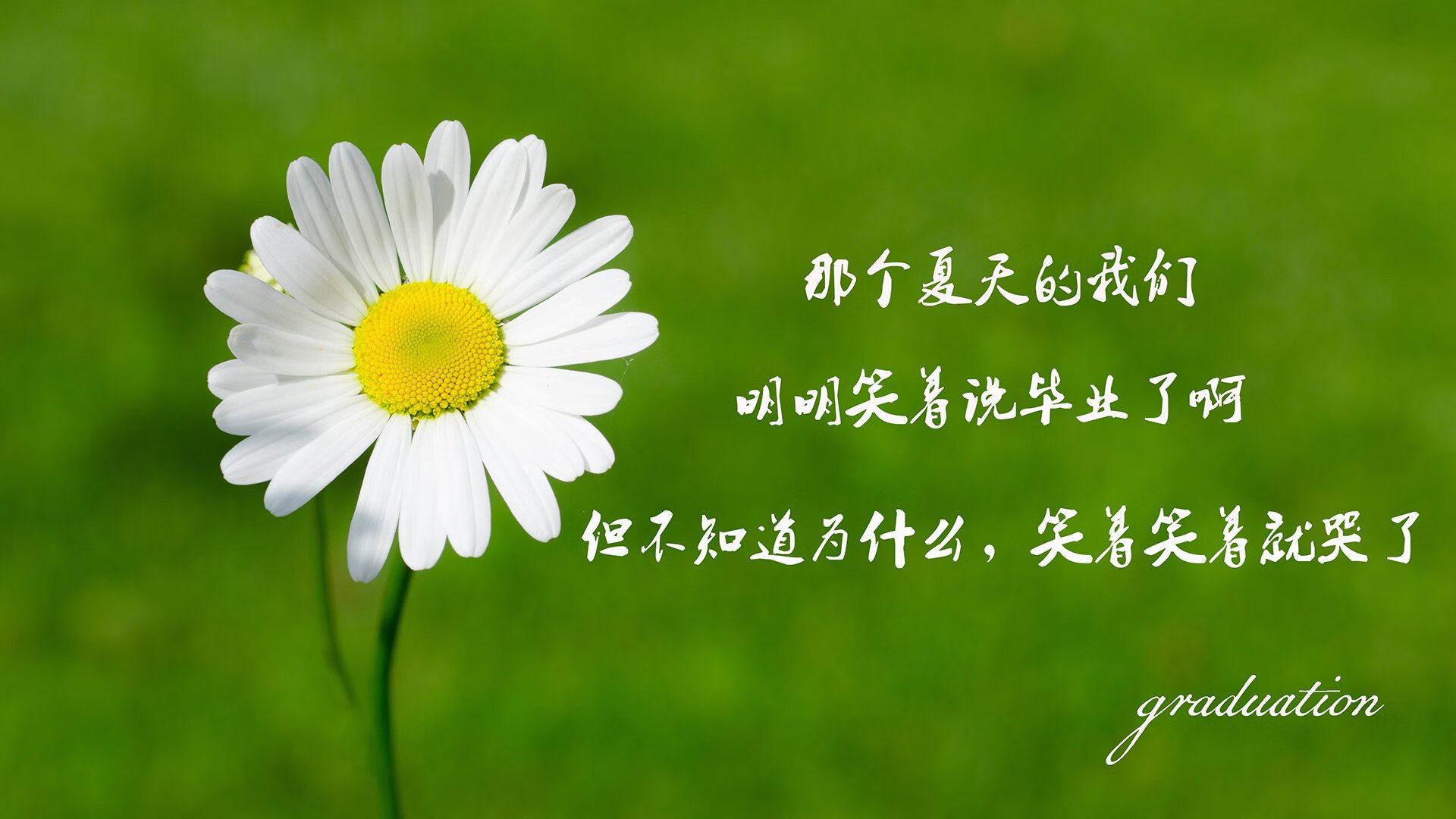 新闻中心召开第二季度经营会议，二季度经营分析会