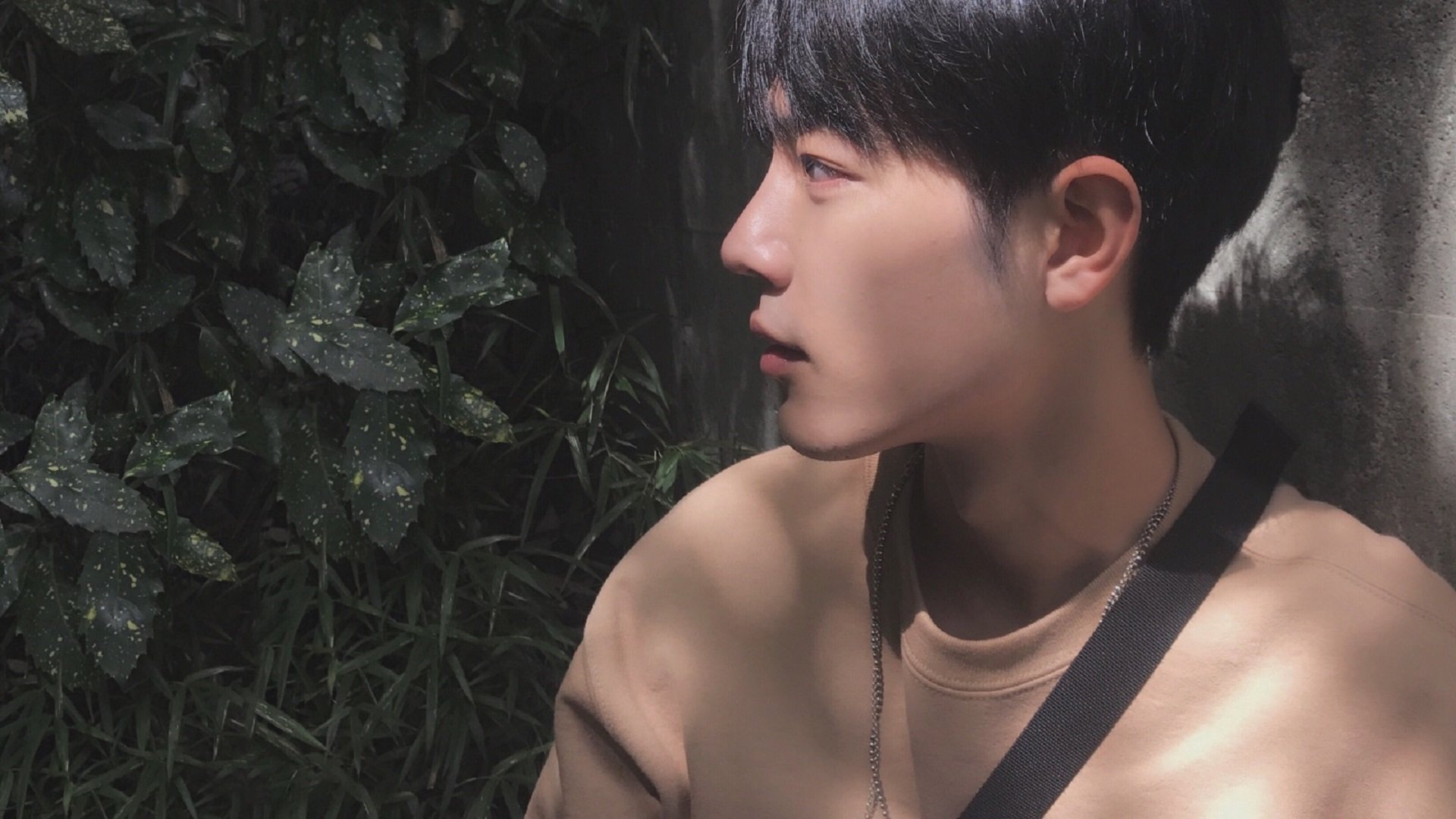 乒乓球技术分析软件帮助选手优化战术,乒乓球技术分析软件帮助选手优化战术的方法