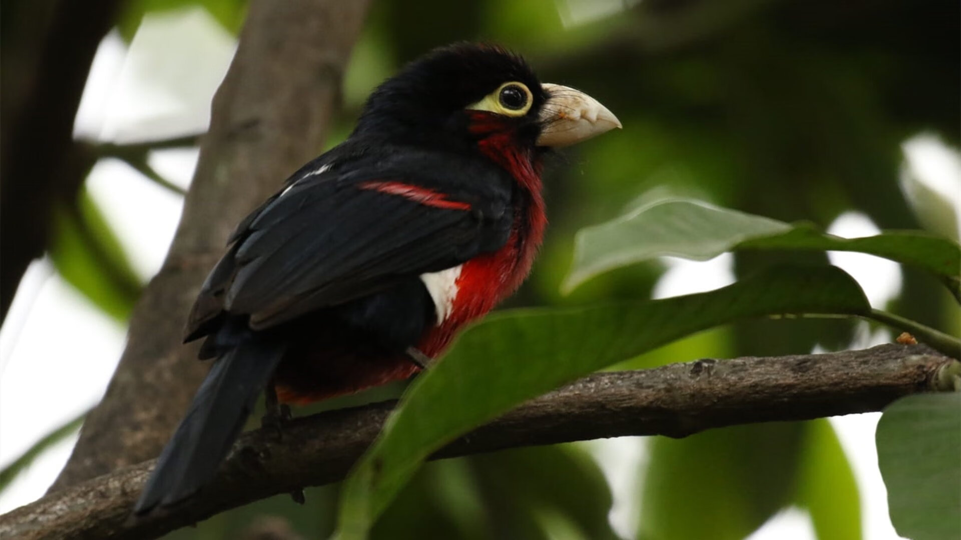 开云体育网站-俱乐部目标管理未纳入长线青训成果考核，俱乐部青训什么意思