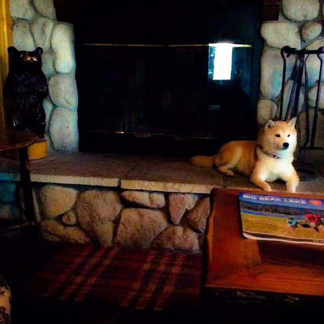 田径竞赛规则调整引入电子红牌机制，田径 红牌